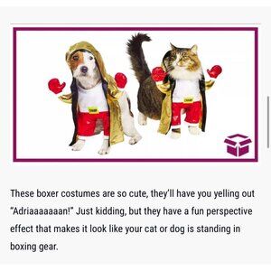 Hyde & EEEK! Frontal Boxer Dog and Cat Costume From Target Size Medium